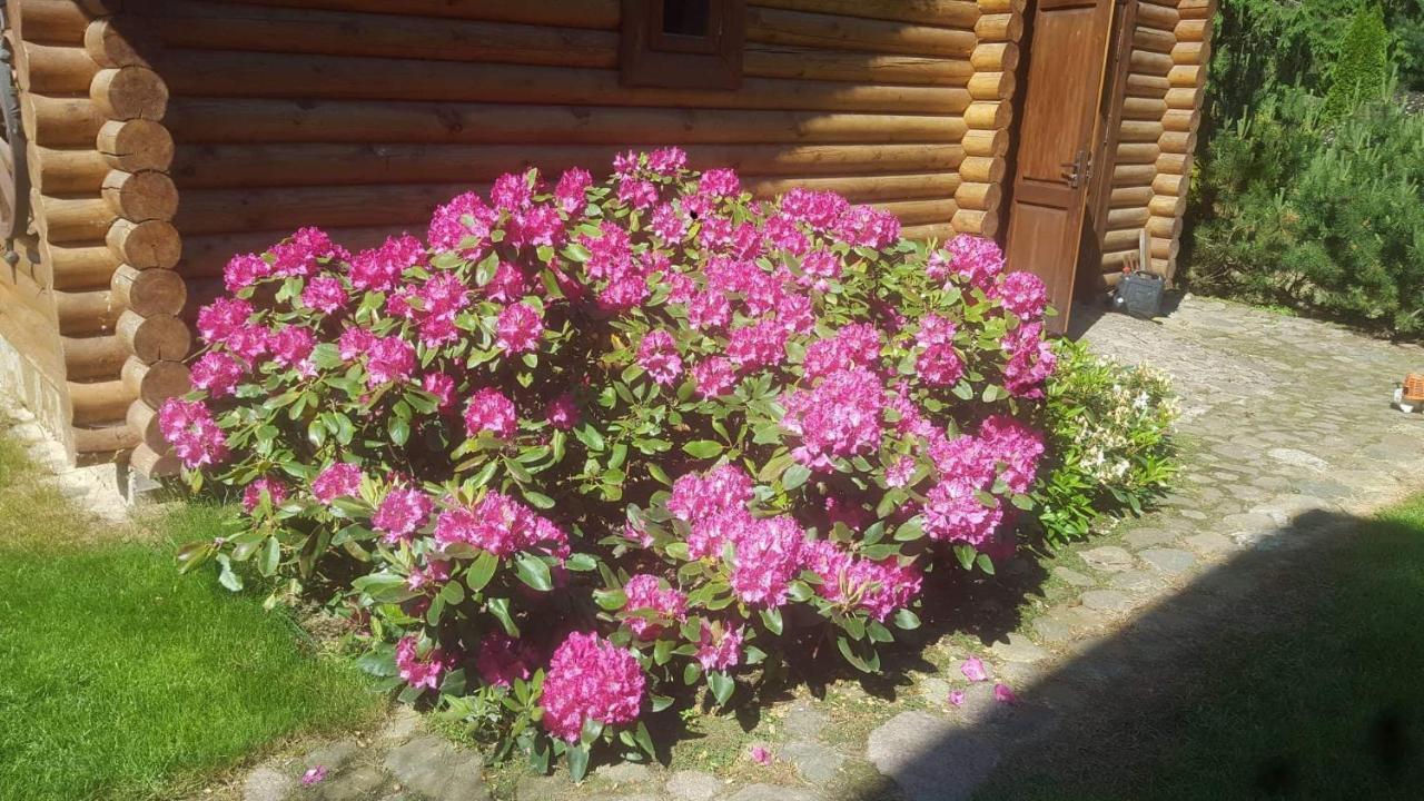 Sveciu Namelis Hotel Šiauliai Екстериор снимка
